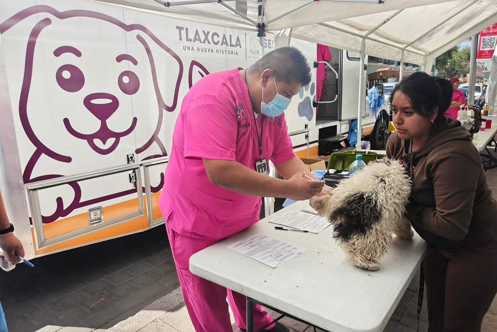 Gobierno de Alfonso Sánchez García continuará campaña de esterilización canina y felina el 22 de mayo